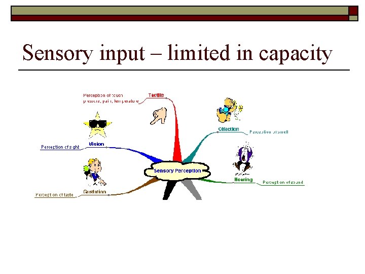 Sensory input – limited in capacity 