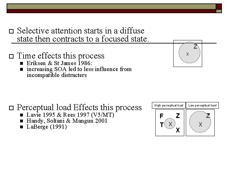 o o Selective attention starts in a diffuse state then contracts to a focused