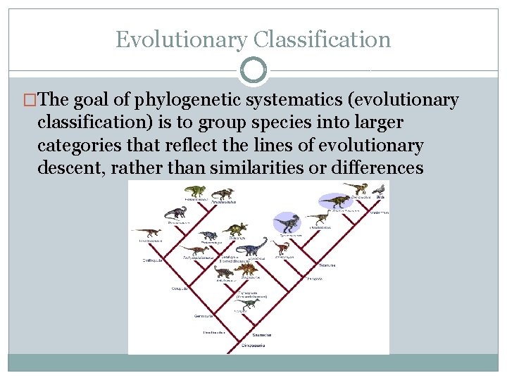 Evolutionary Classification �The goal of phylogenetic systematics (evolutionary classification) is to group species into