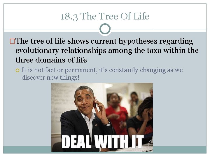 18. 3 The Tree Of Life �The tree of life shows current hypotheses regarding