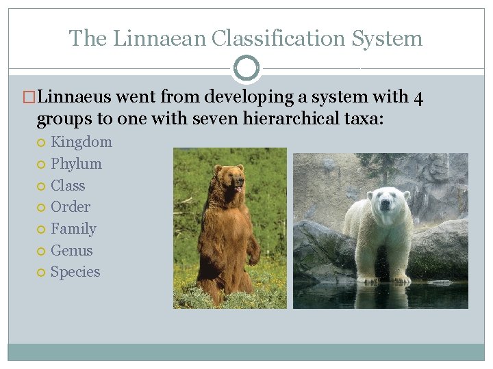 The Linnaean Classification System �Linnaeus went from developing a system with 4 groups to