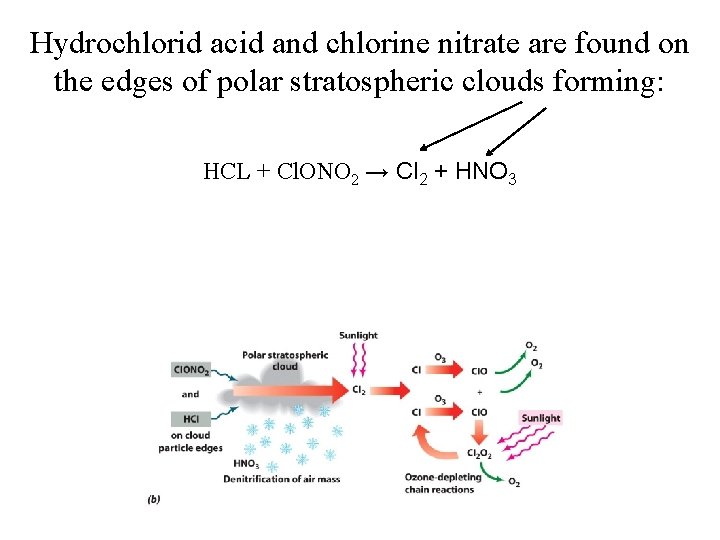 Hydrochlorid acid and chlorine nitrate are found on the edges of polar stratospheric clouds