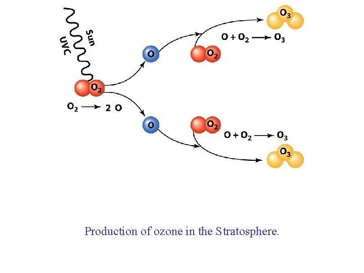 Production of ozone in the Stratosphere. 
