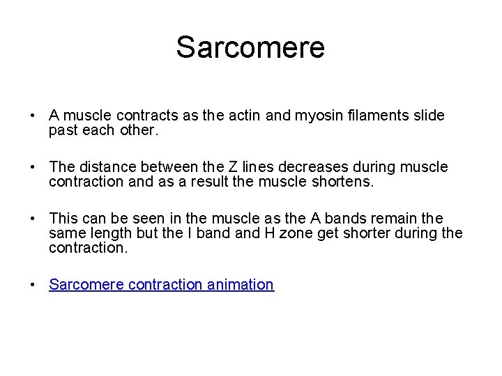 Sarcomere • A muscle contracts as the actin and myosin filaments slide past each