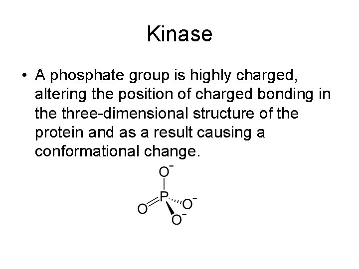 Kinase • A phosphate group is highly charged, altering the position of charged bonding