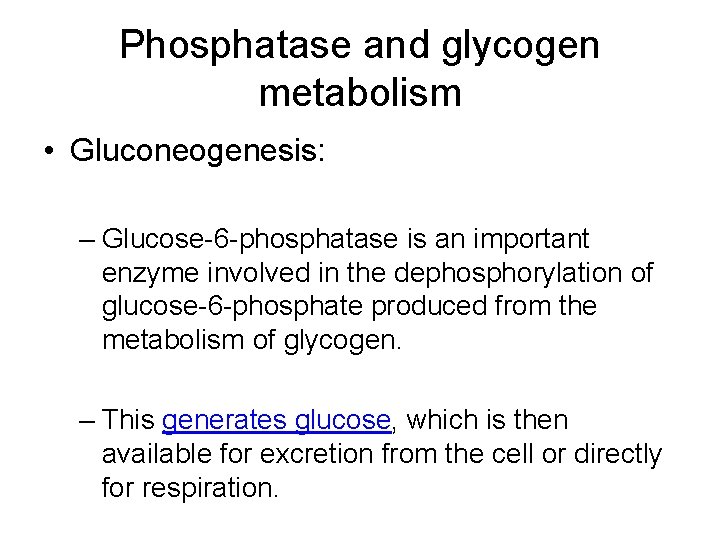 Phosphatase and glycogen metabolism • Gluconeogenesis: – Glucose-6 -phosphatase is an important enzyme involved