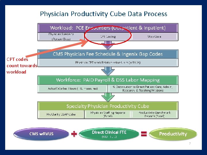 CPT codes count towards workload CPT codes count towards workload