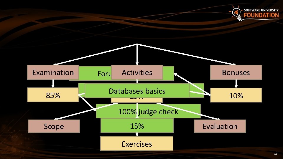 Examination 85% Activities Forum Activity Attendance 1 problem Databases basics 15% Bonuses 10% 100%