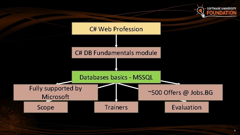 C# Web Profession C# DB Fundamentals module Databases basics - MSSQL Fully supported by