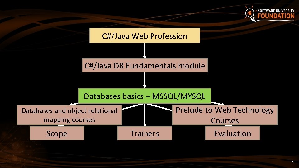 C#/Java Web Profession C#/Java DB Fundamentals module Databases basics – MSSQL/MYSQL Prelude to Web