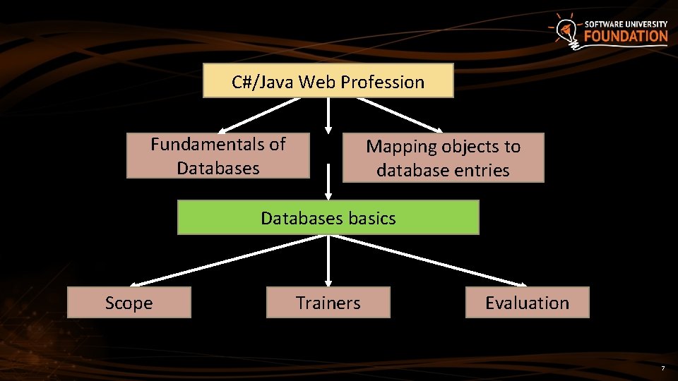 C#/Java Web Profession Fundamentals of Databases Mapping objects to database entries Databases basics Scope