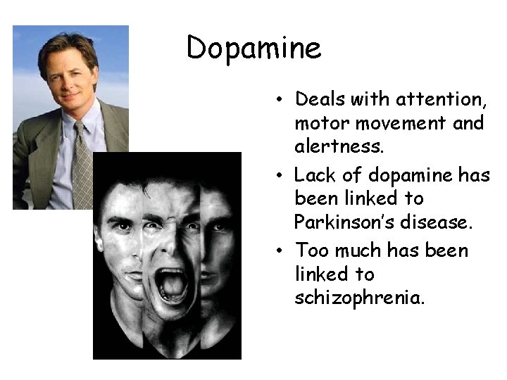 Dopamine • Deals with attention, motor movement and alertness. • Lack of dopamine has