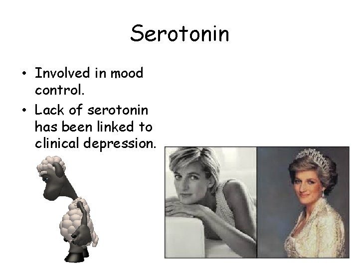 Serotonin • Involved in mood control. • Lack of serotonin has been linked to