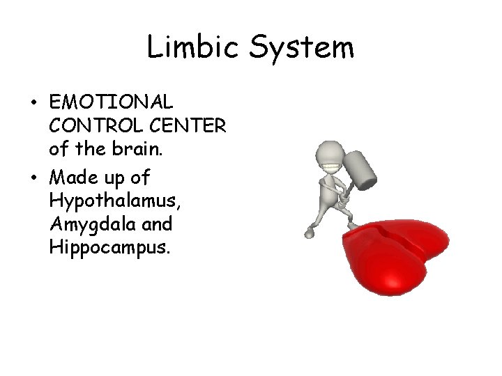 Limbic System • EMOTIONAL CONTROL CENTER of the brain. • Made up of Hypothalamus,