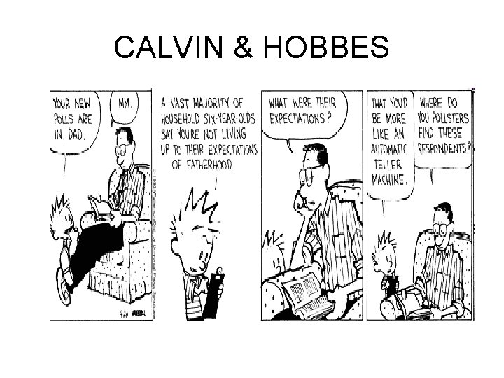 CALVIN & HOBBES 