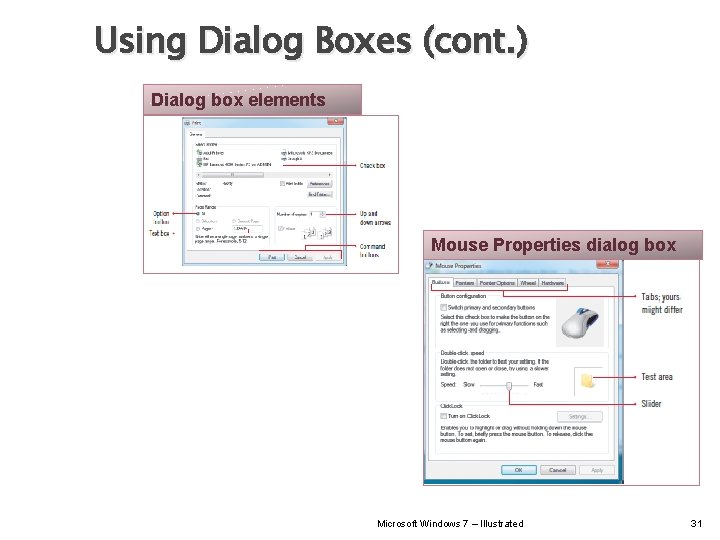 Using Dialog Boxes (cont. ) Dialog box elements Mouse Properties dialog box Microsoft Windows