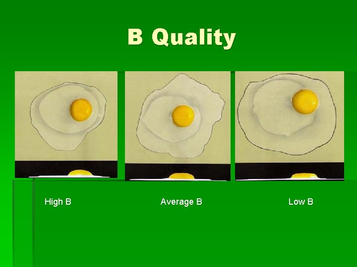 B Quality High B Average B Low B 