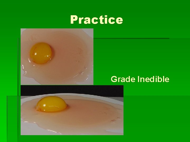 Practice Grade Inedible 