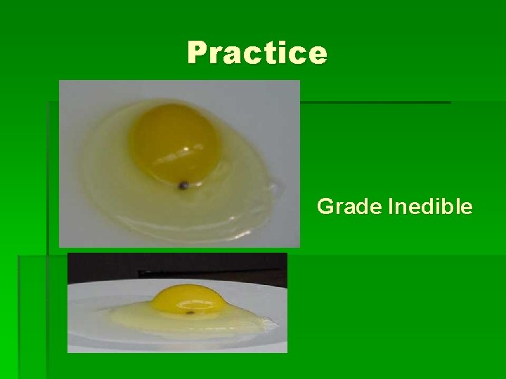 Practice Grade Inedible 