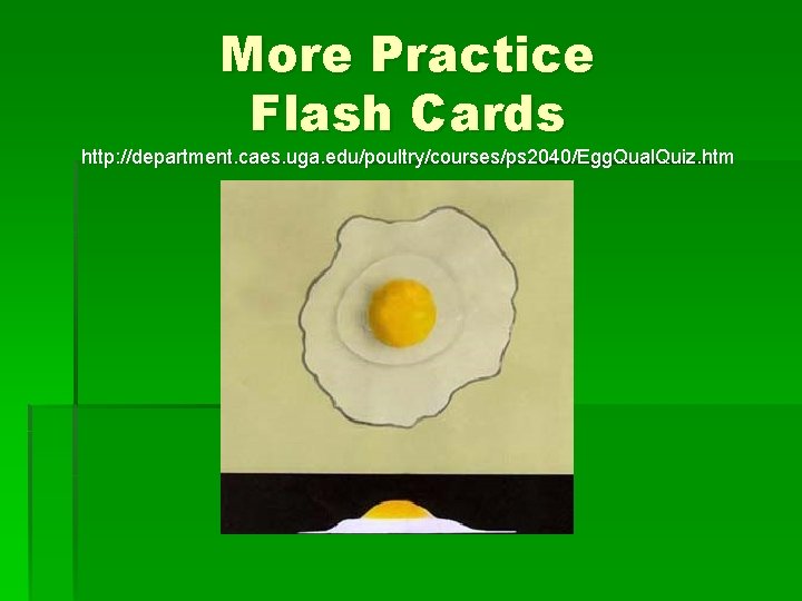 More Practice Flash Cards http: //department. caes. uga. edu/poultry/courses/ps 2040/Egg. Qual. Quiz. htm 