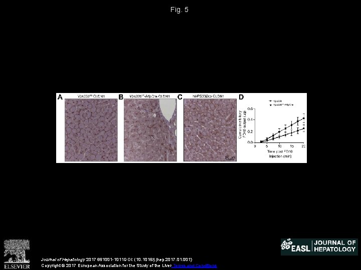 Fig. 5 Journal of Hepatology 2017 661001 -1011 DOI: (10. 1016/j. jhep. 2017. 01.