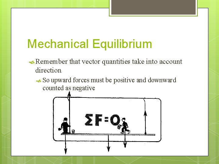 Mechanical Equilibrium Remember that vector quantities take into account direction So upward forces must