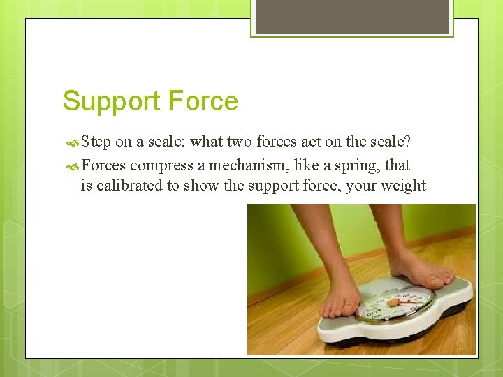 Support Force Step on a scale: what two forces act on the scale? Forces