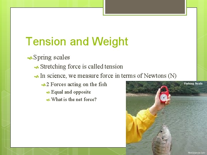 Tension and Weight Spring scales Stretching force is called tension In science, we measure