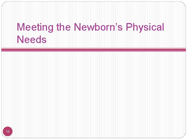 Meeting the Newborn’s Physical Needs 14 