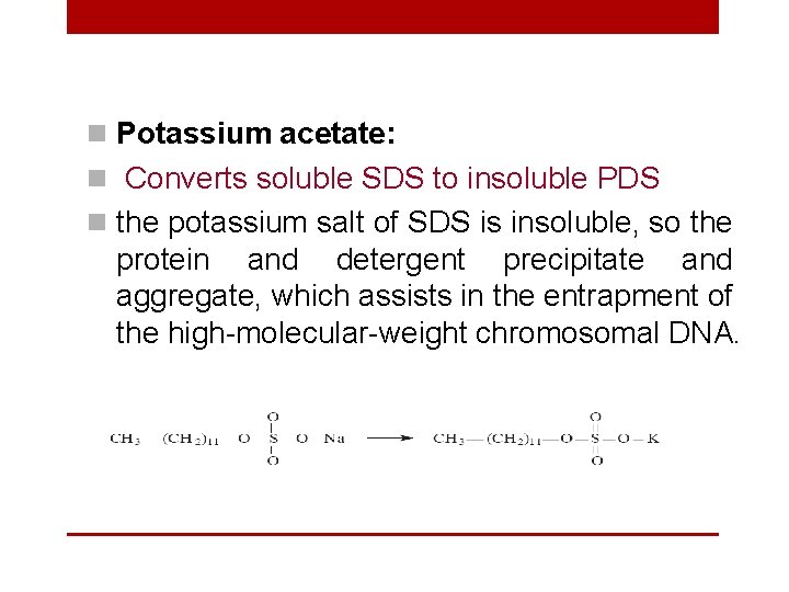 n Potassium acetate: n Converts soluble SDS to insoluble PDS n the potassium salt