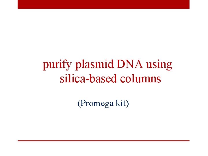 purify plasmid DNA using silica-based columns (Promega kit) 