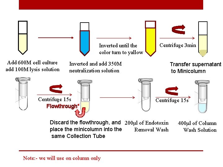 Inverted until the color turn to yallow Add 600 M cell culture add 100