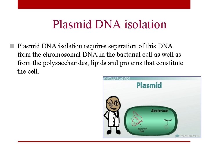 Plasmid DNA isolation n Plasmid DNA isolation requires separation of this DNA from the