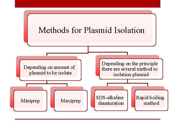 Methods for Plasmid Isolation Depending on amount of plasmid to be isolate Miniprep Maxiprep