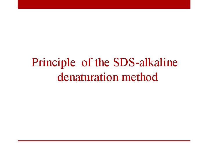 Principle of the SDS-alkaline denaturation method 