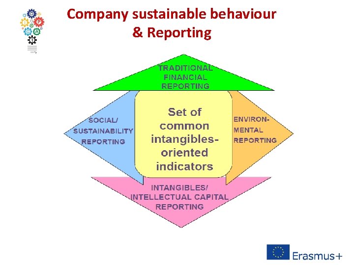 Company sustainable behaviour & Reporting 