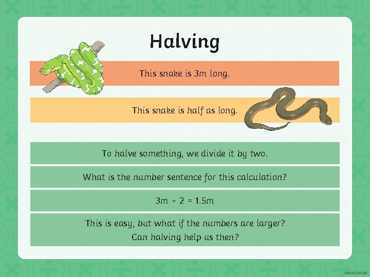 Halving This snake is 3 m long. This snake is half as long. To