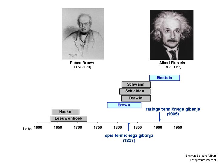 Robert Brown Albert Einstein (1773 -1858) (1879 -1955) razlaga termičnega gibanja (1905) opis termičnega