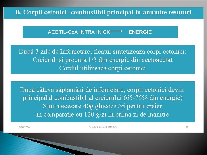 B. Corpii cetonici- combustibil principal in anumite tesuturi ACETIL-Co. A INTRA IN CK ENERGIE