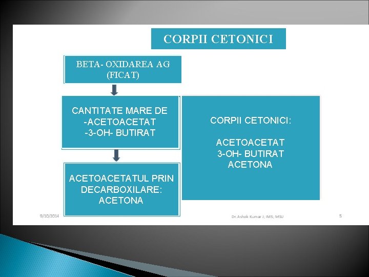 CORPII CETONICI BETA- OXIDAREA AG (FICAT) CANTITATE MARE DE -ACETOACETAT -3 -OH- BUTIRAT ACETOACETATUL