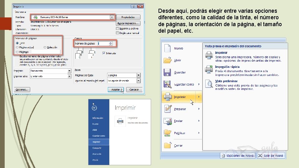 Desde aquí, podrás elegir entre varias opciones diferentes, como la calidad de la tinta,
