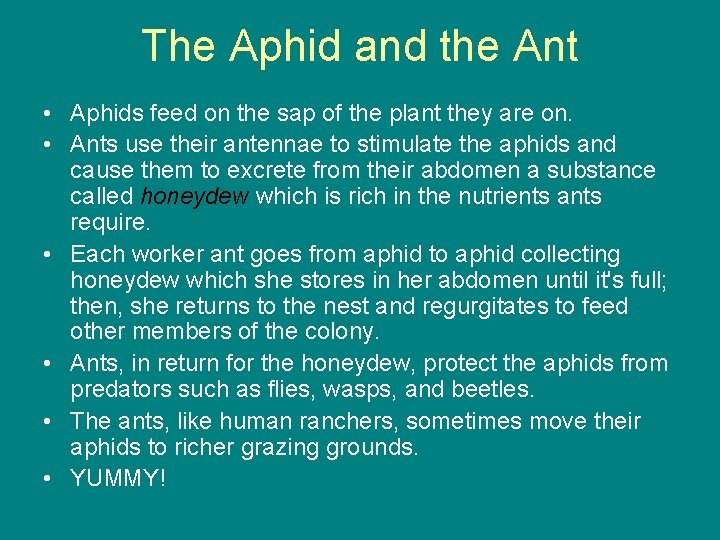 The Aphid and the Ant • Aphids feed on the sap of the plant