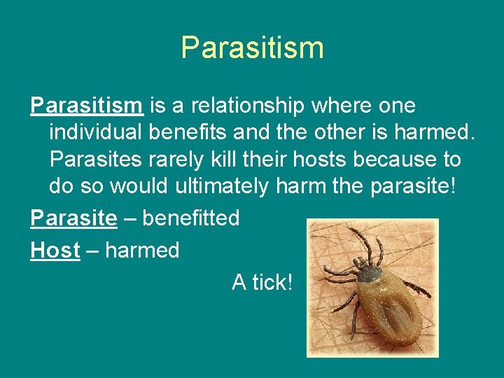 Parasitism is a relationship where one individual benefits and the other is harmed. Parasites