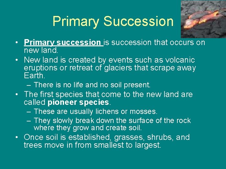 Primary Succession • Primary succession is succession that occurs on new land. • New