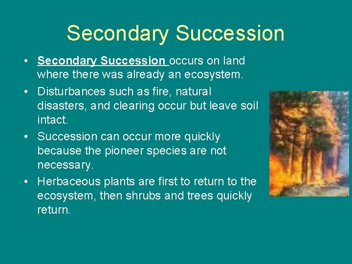 Secondary Succession • Secondary Succession occurs on land where there was already an ecosystem.