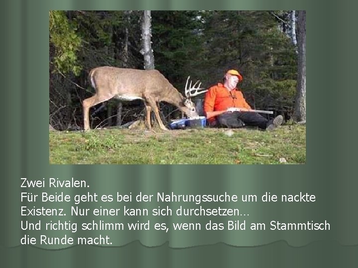 Zwei Rivalen. Für Beide geht es bei der Nahrungssuche um die nackte Existenz. Nur