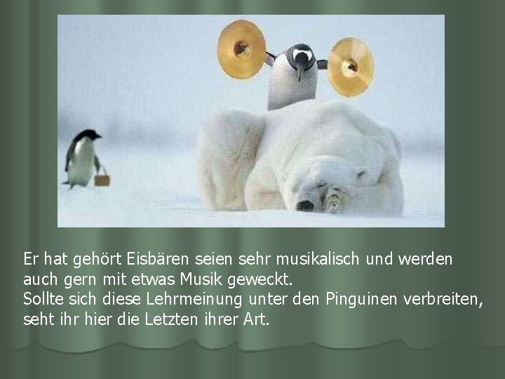 Er hat gehört Eisbären seien sehr musikalisch und werden auch gern mit etwas Musik