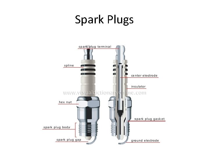 Spark Plugs 