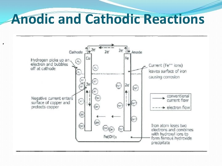 Anodic and Cathodic Reactions. 