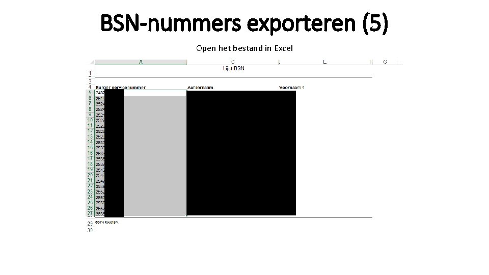 BSN-nummers exporteren (5) Open het bestand in Excel 